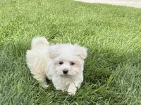 processed/d1a181ef-18c0-4932-8e08-0c0391f04f89/listing/4e0cf6f6-0368-4f32-8e09-629fe3eef31b/ce106573-45e0-4e8f-809b-3165280e03c7