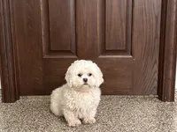 processed/d1a181ef-18c0-4932-8e08-0c0391f04f89/listing/4f8dcb35-3861-41d6-9ea4-30bacfcb2446/ba054ff7-d532-41a4-b45c-312ed4a57b19