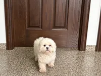 processed/d1a181ef-18c0-4932-8e08-0c0391f04f89/listing/4f8dcb35-3861-41d6-9ea4-30bacfcb2446/bebc5389-f6ae-4f08-8688-63025e73badc