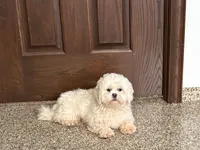 processed/d1a181ef-18c0-4932-8e08-0c0391f04f89/listing/4f8dcb35-3861-41d6-9ea4-30bacfcb2446/bfda8c15-a71a-4123-8e8b-14ee257e494f