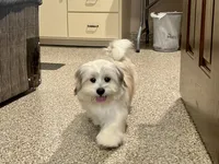 processed/d1a181ef-18c0-4932-8e08-0c0391f04f89/listing/571d2c61-3623-4b9e-b977-dba501b814e7/50ec4b1c-497e-443a-8b52-13ae2c00fdfc