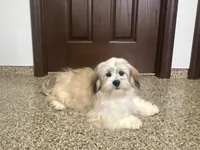 processed/d1a181ef-18c0-4932-8e08-0c0391f04f89/listing/571d2c61-3623-4b9e-b977-dba501b814e7/9a69a761-53c5-4648-ae0e-42b171262c7d