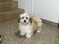 processed/d1a181ef-18c0-4932-8e08-0c0391f04f89/listing/571d2c61-3623-4b9e-b977-dba501b814e7/ddb1cd32-e5fe-4652-909b-1391ceb360ec