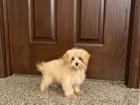 processed/d1a181ef-18c0-4932-8e08-0c0391f04f89/listing/70f75f7e-9de5-43e0-8733-9e78c77b719c/2520474f-9ac1-41e8-8538-b5b04d644ad1