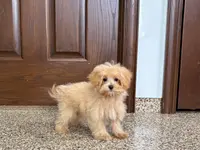 processed/d1a181ef-18c0-4932-8e08-0c0391f04f89/listing/70f75f7e-9de5-43e0-8733-9e78c77b719c/831d480c-a949-462a-81af-0d390bee92d7