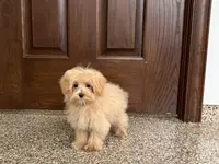 processed/d1a181ef-18c0-4932-8e08-0c0391f04f89/listing/70f75f7e-9de5-43e0-8733-9e78c77b719c/a70fe58b-5b43-4922-b98f-d59ae3e2ad79