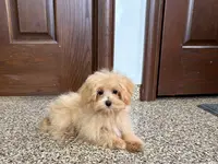 processed/d1a181ef-18c0-4932-8e08-0c0391f04f89/listing/70f75f7e-9de5-43e0-8733-9e78c77b719c/b680a6ae-9e47-4d66-a844-d3ab85fc86a8