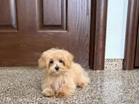 processed/d1a181ef-18c0-4932-8e08-0c0391f04f89/listing/70f75f7e-9de5-43e0-8733-9e78c77b719c/cc81ad77-188a-4855-a9ab-8834dbb527f5