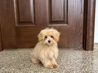 processed/d1a181ef-18c0-4932-8e08-0c0391f04f89/listing/70f75f7e-9de5-43e0-8733-9e78c77b719c/e933fa1d-1ca5-4729-ac21-775c9599aa3c