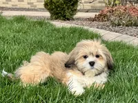 processed/d1a181ef-18c0-4932-8e08-0c0391f04f89/listing/7332d7ed-bf63-4798-a56a-d1b833739870/16671d4d-2595-48ea-8927-5e564a6e9f6c