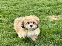 processed/d1a181ef-18c0-4932-8e08-0c0391f04f89/listing/7332d7ed-bf63-4798-a56a-d1b833739870/8c4202b3-ea9e-463d-8d38-932a03ce5cbd