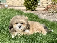 processed/d1a181ef-18c0-4932-8e08-0c0391f04f89/listing/7332d7ed-bf63-4798-a56a-d1b833739870/a5affc16-7051-416b-ac55-38ef91ee93e2