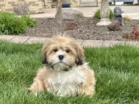 processed/d1a181ef-18c0-4932-8e08-0c0391f04f89/listing/7332d7ed-bf63-4798-a56a-d1b833739870/bb092221-1fca-4a38-9e27-1a103a53f9b2