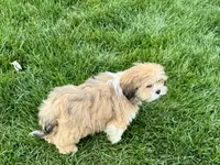 processed/d1a181ef-18c0-4932-8e08-0c0391f04f89/listing/7332d7ed-bf63-4798-a56a-d1b833739870/f8ed427a-4abd-46cf-9661-da1017b81a94