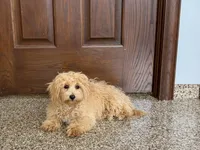 processed/d1a181ef-18c0-4932-8e08-0c0391f04f89/listing/74db641f-e990-49ea-a349-85b33c66b03e/214f0294-d150-415e-abc1-93ad095dd408