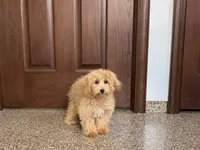 processed/d1a181ef-18c0-4932-8e08-0c0391f04f89/listing/74db641f-e990-49ea-a349-85b33c66b03e/33f3117c-2ed8-4745-bddd-f63a10a84b46