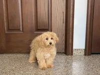 processed/d1a181ef-18c0-4932-8e08-0c0391f04f89/listing/74db641f-e990-49ea-a349-85b33c66b03e/468f0bca-1423-4cab-aa3c-62957eb15e89