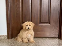 processed/d1a181ef-18c0-4932-8e08-0c0391f04f89/listing/74db641f-e990-49ea-a349-85b33c66b03e/7586de5d-2d58-43c3-8eef-68ebe5f61def