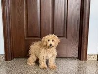 processed/d1a181ef-18c0-4932-8e08-0c0391f04f89/listing/74db641f-e990-49ea-a349-85b33c66b03e/86008edd-4c30-4395-bec3-e6efb65ec97f