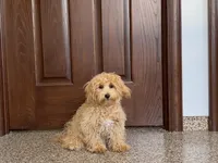 processed/d1a181ef-18c0-4932-8e08-0c0391f04f89/listing/74db641f-e990-49ea-a349-85b33c66b03e/b100f92a-516f-4ae7-89cc-aef57caa03a1