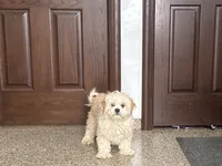 processed/d1a181ef-18c0-4932-8e08-0c0391f04f89/listing/8a8d3f22-a4c4-4d28-9736-ba3320f06d3d/cc7f4aee-abd6-40cd-a9e3-f61d99342480