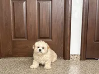 processed/d1a181ef-18c0-4932-8e08-0c0391f04f89/listing/8a8d3f22-a4c4-4d28-9736-ba3320f06d3d/ead0b537-a083-4618-9938-a970cbb99e1c