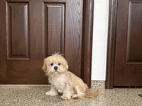 processed/d1a181ef-18c0-4932-8e08-0c0391f04f89/listing/9283782d-af70-4cdb-a5c2-092eed1d28d3/3aff9704-7292-4378-9e8a-161c9761399d