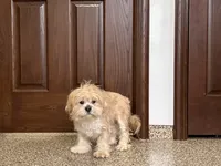 processed/d1a181ef-18c0-4932-8e08-0c0391f04f89/listing/9283782d-af70-4cdb-a5c2-092eed1d28d3/4036b413-d7b5-4935-ba81-7e4e244773df