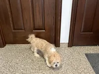 processed/d1a181ef-18c0-4932-8e08-0c0391f04f89/listing/9283782d-af70-4cdb-a5c2-092eed1d28d3/473fa4bb-2cb8-4e4f-b9d0-de4d8b0ae328