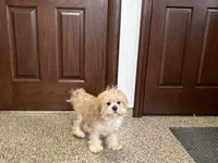 processed/d1a181ef-18c0-4932-8e08-0c0391f04f89/listing/9283782d-af70-4cdb-a5c2-092eed1d28d3/7debc6ce-1779-4907-9053-42f569f5da21