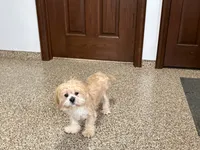 processed/d1a181ef-18c0-4932-8e08-0c0391f04f89/listing/9283782d-af70-4cdb-a5c2-092eed1d28d3/8e350978-6e96-4e63-86e5-fe4a84749634