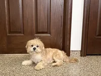 processed/d1a181ef-18c0-4932-8e08-0c0391f04f89/listing/9283782d-af70-4cdb-a5c2-092eed1d28d3/9603ab73-e53b-4a04-b971-1ac99b8359bd