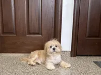 processed/d1a181ef-18c0-4932-8e08-0c0391f04f89/listing/9283782d-af70-4cdb-a5c2-092eed1d28d3/9d92cb3d-9d5f-4d6a-a5ab-afb7d4be0983