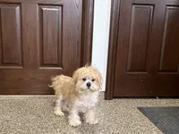 processed/d1a181ef-18c0-4932-8e08-0c0391f04f89/listing/9283782d-af70-4cdb-a5c2-092eed1d28d3/e76fef73-a9c2-4b15-be98-71cff41e4479