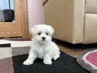 processed/d1a181ef-18c0-4932-8e08-0c0391f04f89/listing/b3149b87-ae68-4e89-8b86-d44c70def809/072c7076-69d8-4524-98a7-3c0c72a487ca