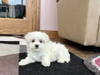 processed/d1a181ef-18c0-4932-8e08-0c0391f04f89/listing/b3149b87-ae68-4e89-8b86-d44c70def809/2dec5d83-d3ed-4cf3-8c95-aef7337908f8