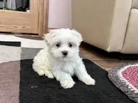 processed/d1a181ef-18c0-4932-8e08-0c0391f04f89/listing/b3149b87-ae68-4e89-8b86-d44c70def809/e5e13d39-ae20-4d0e-b9e2-2aad0f43f087