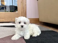 processed/d1a181ef-18c0-4932-8e08-0c0391f04f89/listing/b3149b87-ae68-4e89-8b86-d44c70def809/f106aa57-d9c0-439e-8972-a259751004aa