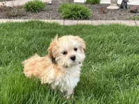 processed/d1a181ef-18c0-4932-8e08-0c0391f04f89/listing/b78ad713-852a-4776-8f62-52d111b15d28/0e5fc162-5f49-437d-aca8-fc08d217261a