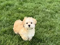 processed/d1a181ef-18c0-4932-8e08-0c0391f04f89/listing/b78ad713-852a-4776-8f62-52d111b15d28/4c8b6d89-ac80-4059-abd1-2343e813c25e