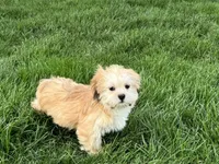 processed/d1a181ef-18c0-4932-8e08-0c0391f04f89/listing/b78ad713-852a-4776-8f62-52d111b15d28/512955e6-84a2-4107-93ca-c08bce1b96a2