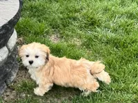 processed/d1a181ef-18c0-4932-8e08-0c0391f04f89/listing/b78ad713-852a-4776-8f62-52d111b15d28/61834e29-ce73-4bb6-9386-6a14ee0f8f9b