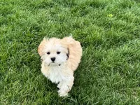 processed/d1a181ef-18c0-4932-8e08-0c0391f04f89/listing/b78ad713-852a-4776-8f62-52d111b15d28/6bd63191-bdb7-4585-88a8-6cc06b9b8ca3