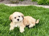 processed/d1a181ef-18c0-4932-8e08-0c0391f04f89/listing/b78ad713-852a-4776-8f62-52d111b15d28/6d289bec-d123-4f29-8ce5-12ed53d472ec