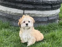 processed/d1a181ef-18c0-4932-8e08-0c0391f04f89/listing/b78ad713-852a-4776-8f62-52d111b15d28/7428bae6-504a-4908-9b64-17be3c331957