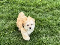 processed/d1a181ef-18c0-4932-8e08-0c0391f04f89/listing/b78ad713-852a-4776-8f62-52d111b15d28/9fe6e66f-bf9b-4a6d-b44a-3859e583987d