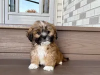 processed/d1a181ef-18c0-4932-8e08-0c0391f04f89/listing/bfa64774-8593-4ca8-841b-70b8364c32b7/0d6ff6c7-e61f-4c0a-b15e-2915dc7a9cb5