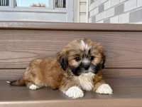 processed/d1a181ef-18c0-4932-8e08-0c0391f04f89/listing/bfa64774-8593-4ca8-841b-70b8364c32b7/70dde0ed-508d-4889-9cf1-3de9227d4ba3