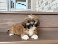 processed/d1a181ef-18c0-4932-8e08-0c0391f04f89/listing/bfa64774-8593-4ca8-841b-70b8364c32b7/778258c5-5b8b-4c09-86cf-808023579c60