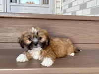 processed/d1a181ef-18c0-4932-8e08-0c0391f04f89/listing/bfa64774-8593-4ca8-841b-70b8364c32b7/8cba3b10-f75f-4a18-82d0-63b2a93c97b3